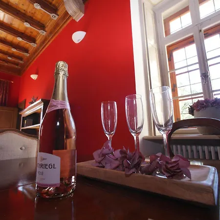 Hotel apartamentowy Schloss Am Fischhorn Zell am See