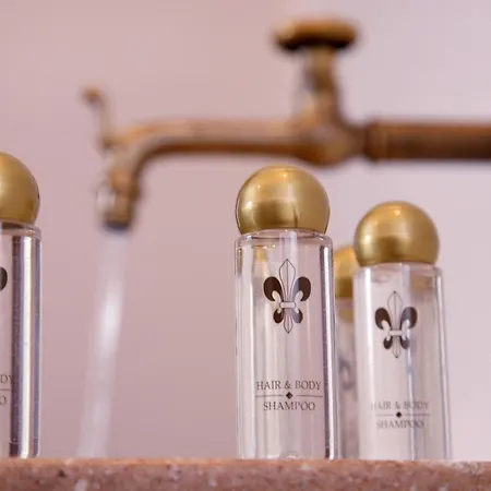 Hotel apartamentowy Schloss Am Fischhorn Zell am See