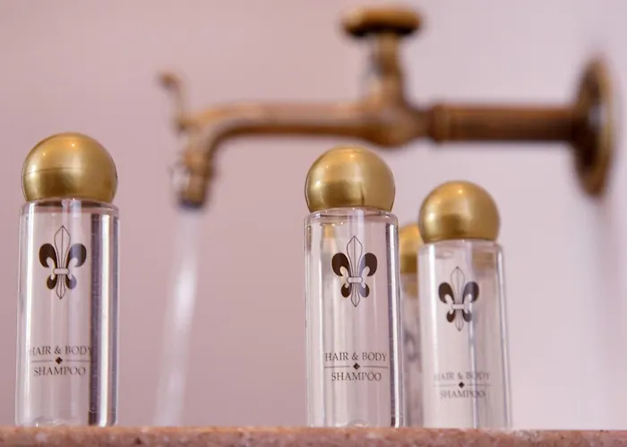 Lejlighedshotel Schloss Am Fischhorn Zell am See